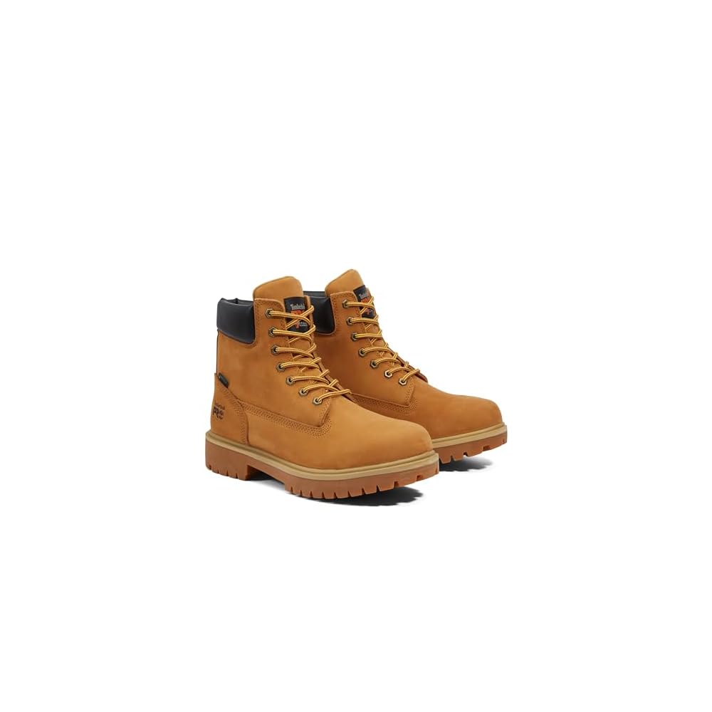 Wheat-2024 New