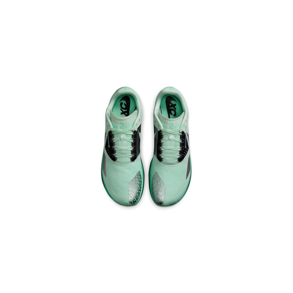 Barley Green/Metallic Silver-green Glow