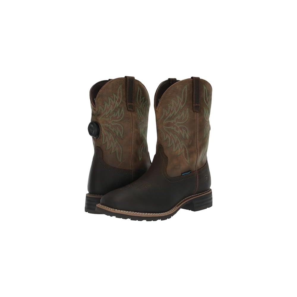 Acorn Brown/Beduino Brown