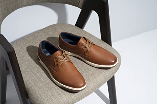 81q06-brown