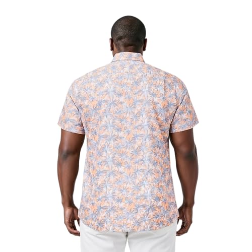 Peach Cobbler Palm