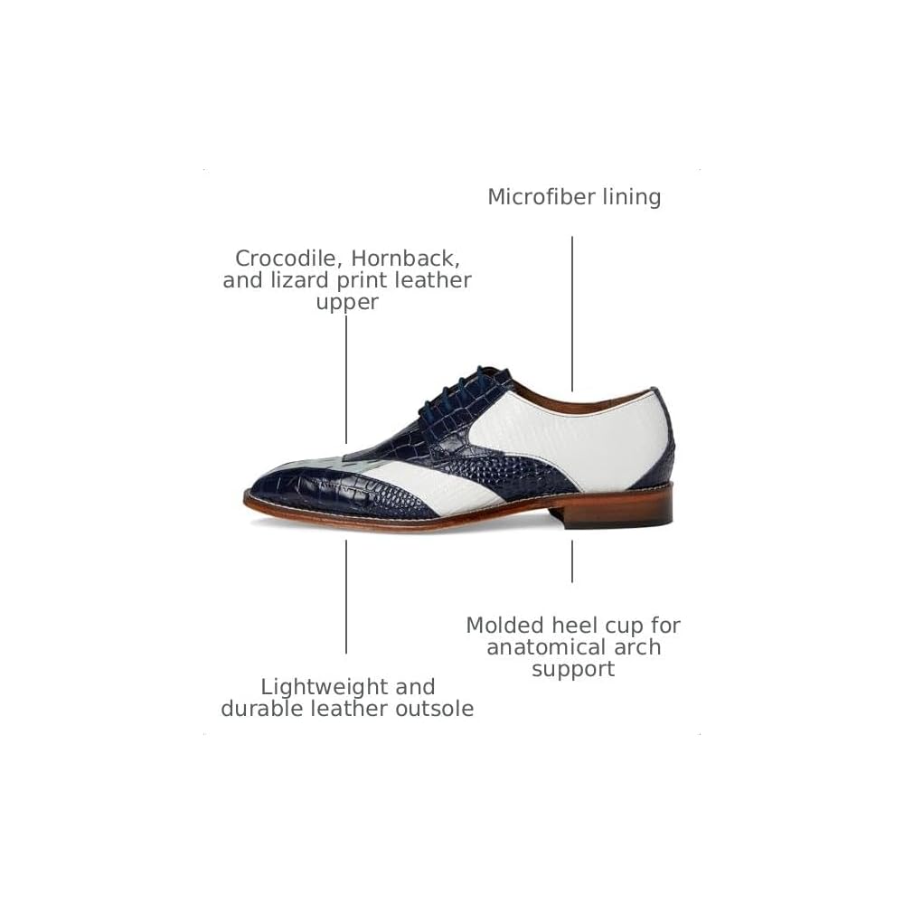 Dark Blue Multi