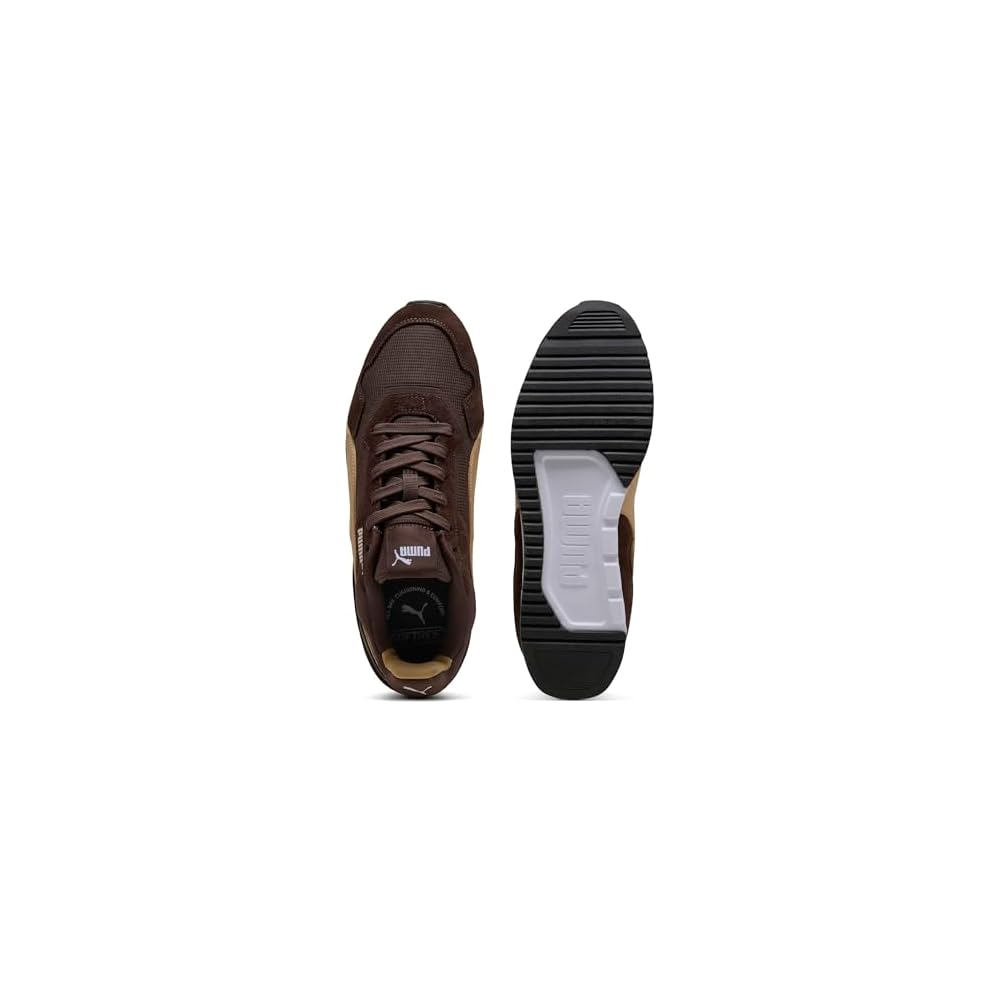Chocolate-sand Dune-white