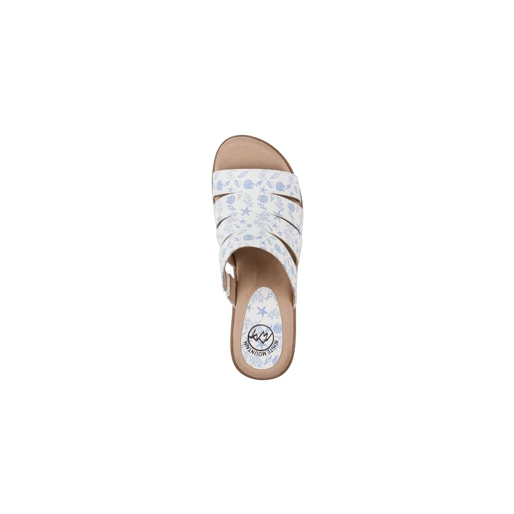Oceanblue Seashell Smooth