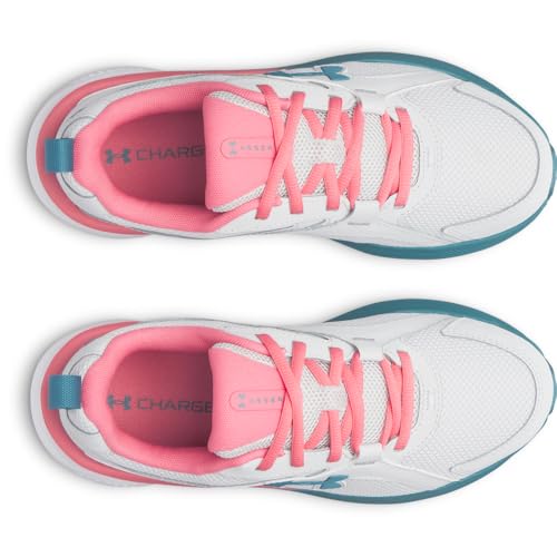 (023) Distant Gray/Bittersweet Pink/Boundless Blue