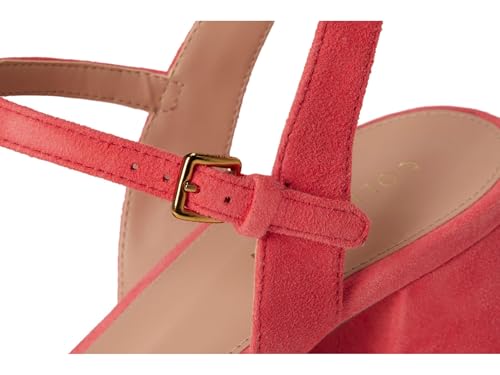 Dubarry Suede