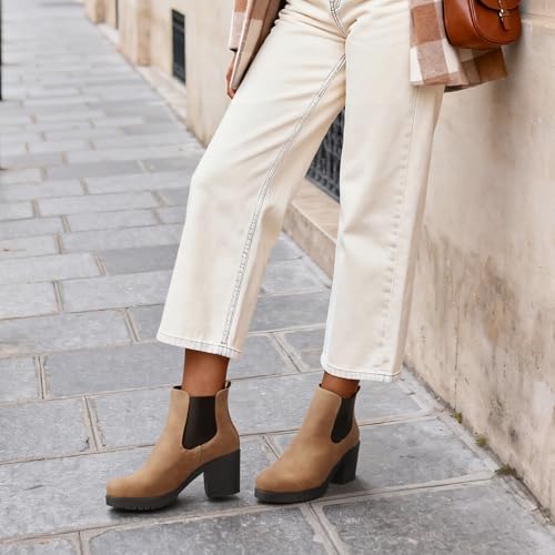 Camel/Pu