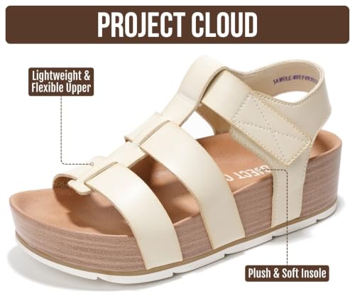 Phased - Cloud
