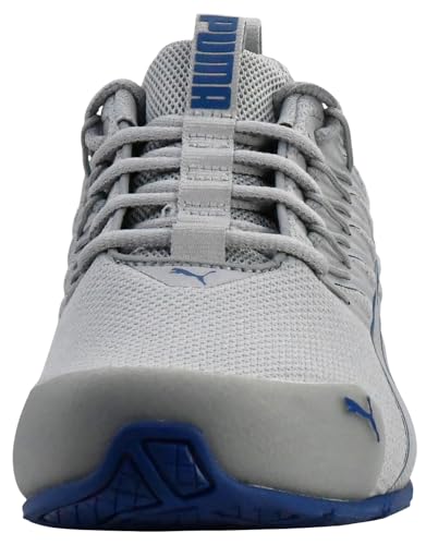 Cool Mid Gray-clyde Royal