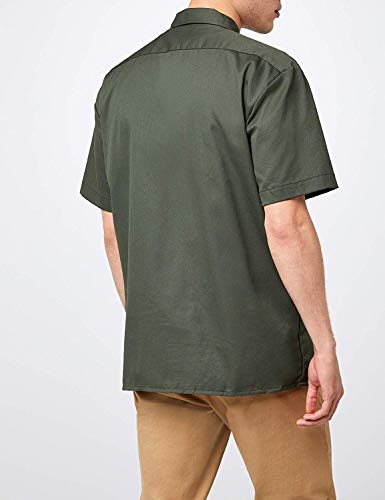 Olive Green V1