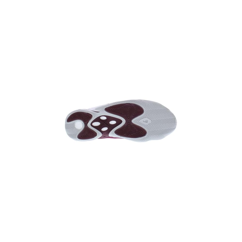 Team Maroon/Footwear White/Stone-red