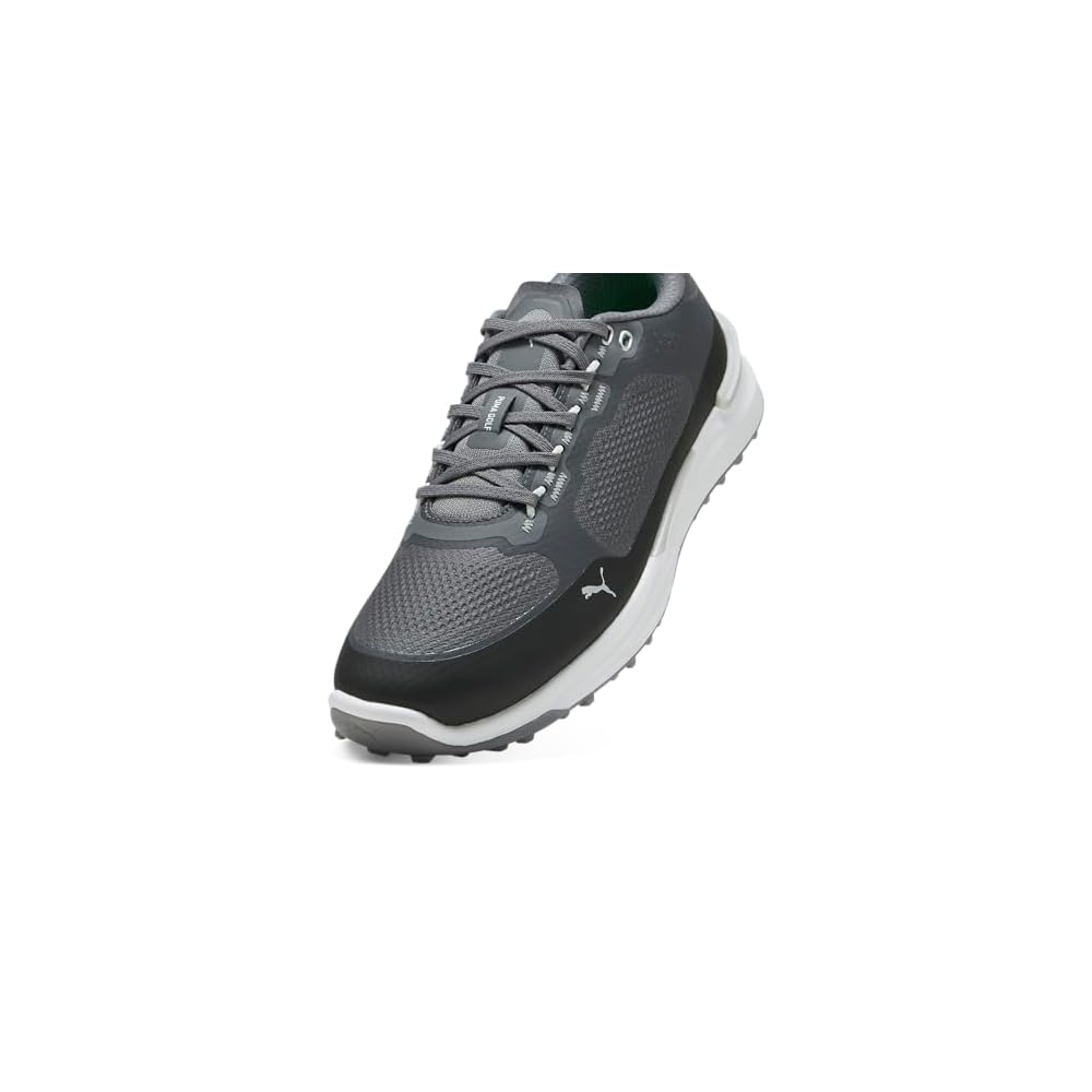 Slate Sky-puma Black-ash Gray