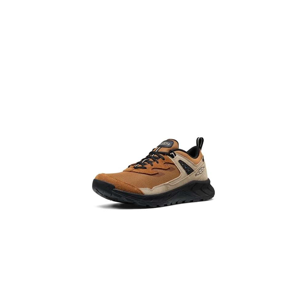 Chipmunk/Safari