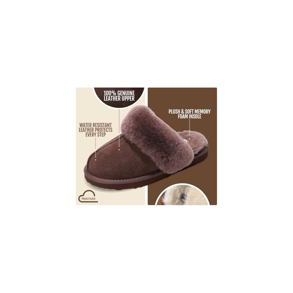 Chocolate Brown