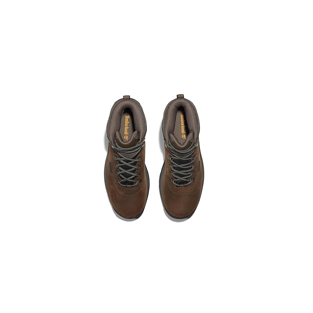 Brown-2024 New