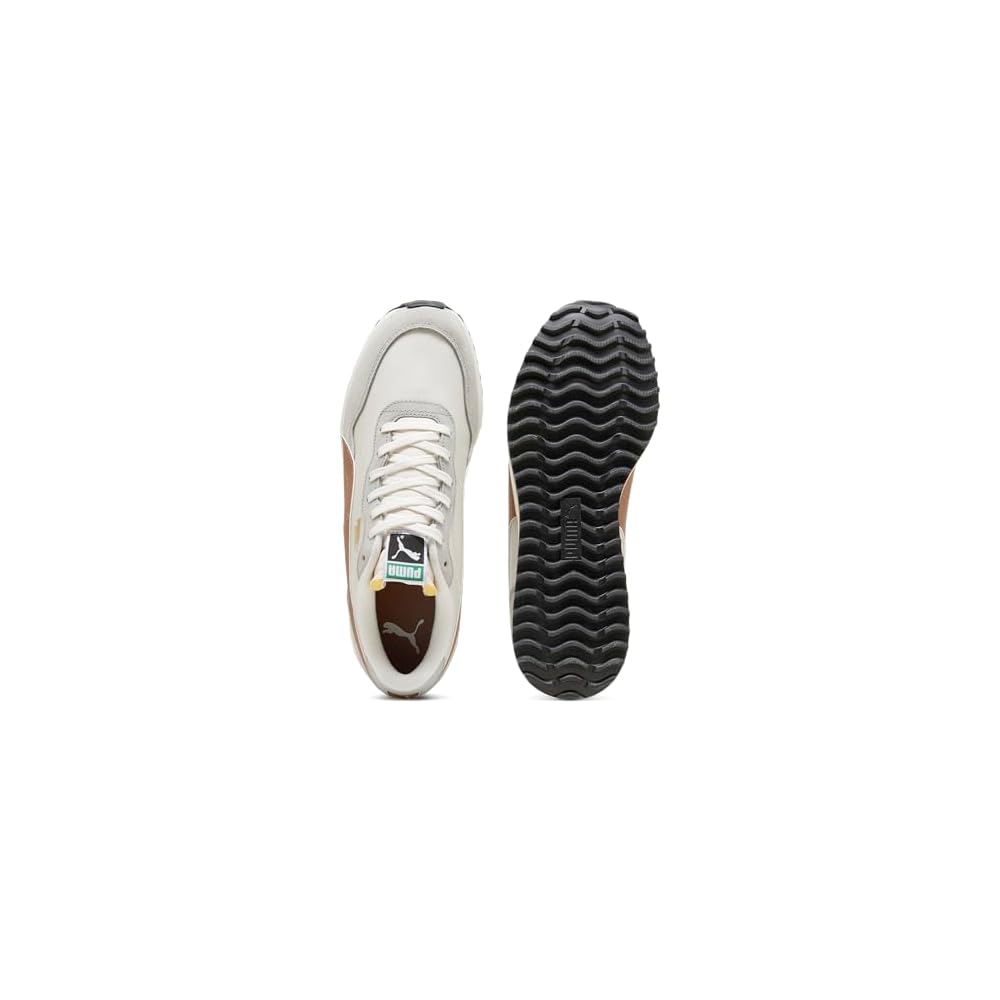 Vapor Gray-brown Mushroom