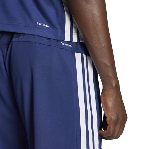 Dark Blue/White