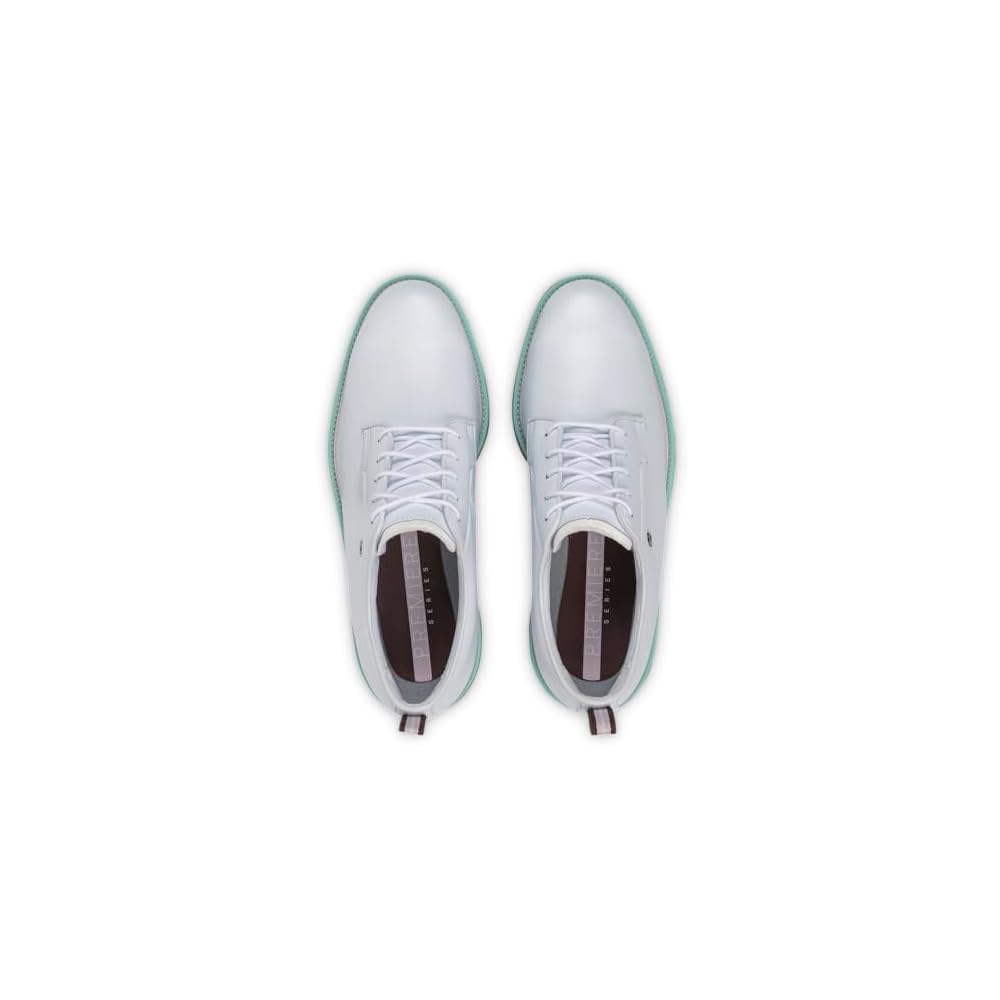 White/Chestnut/Aquamarine