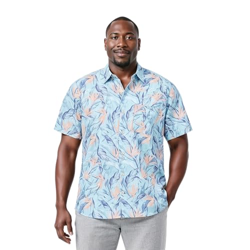 Bachelor Button Tropical