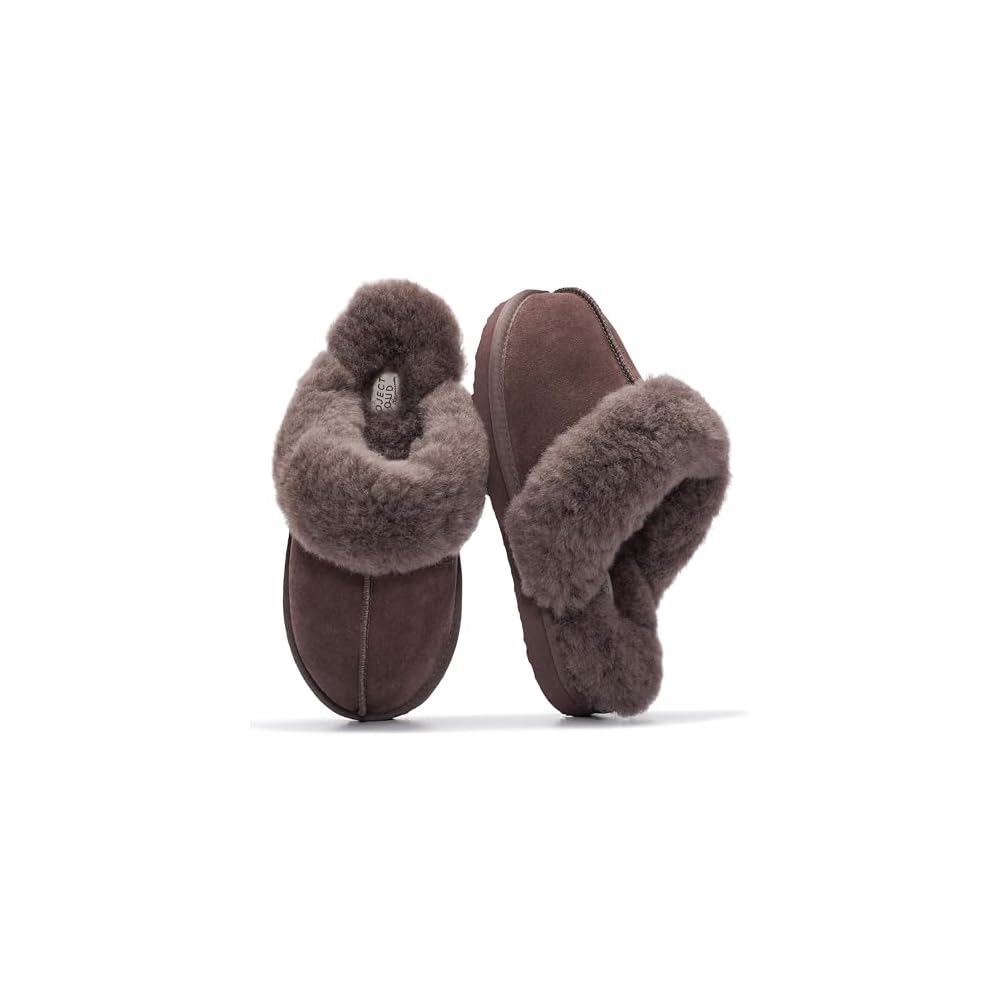 Chocolate Brown