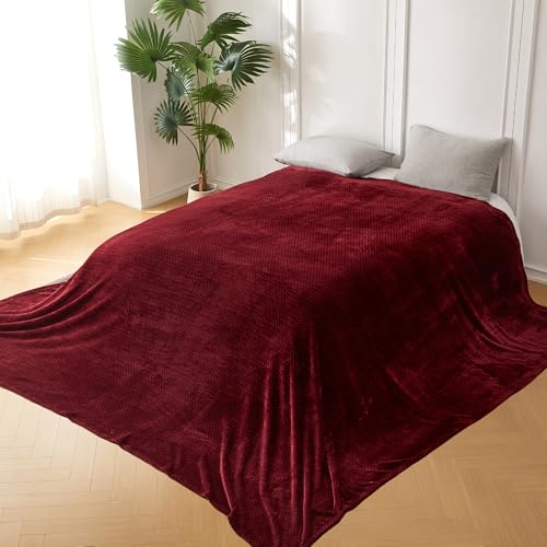 Jacquard Burgandy Red