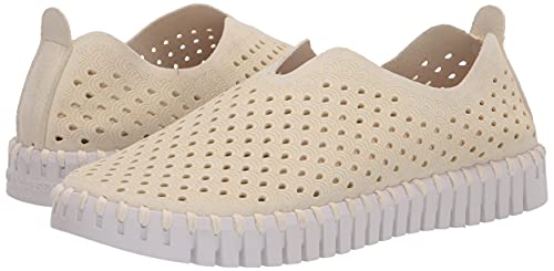 Milk Creme/White