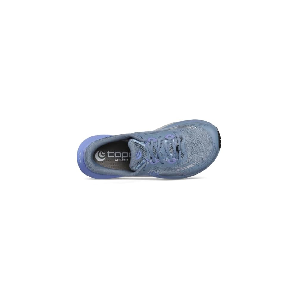 Grey/Blue