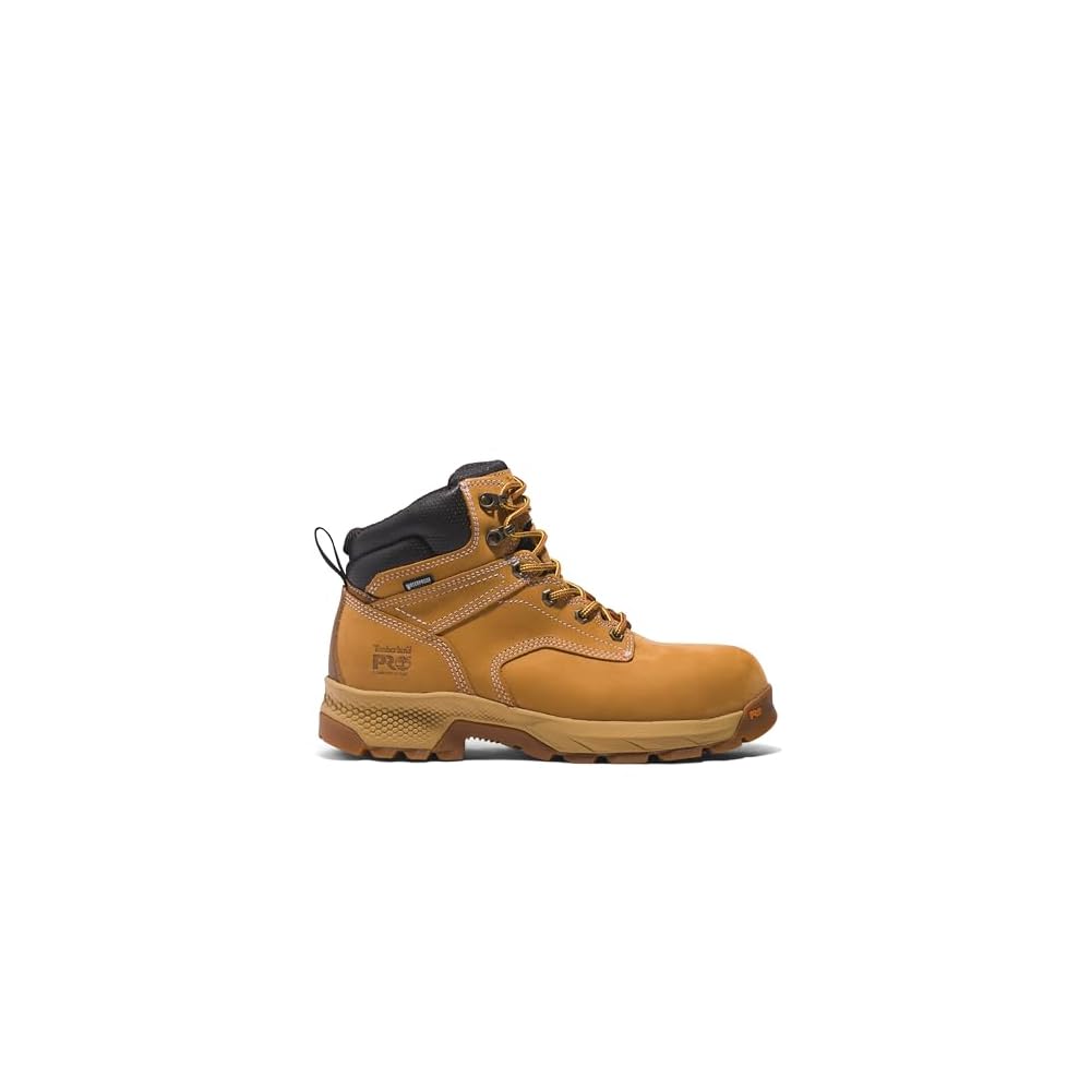 Wheat-2024 New