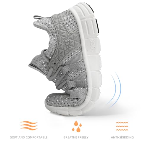 Glittering Light Gray