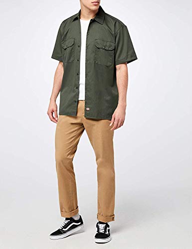 Olive Green V1