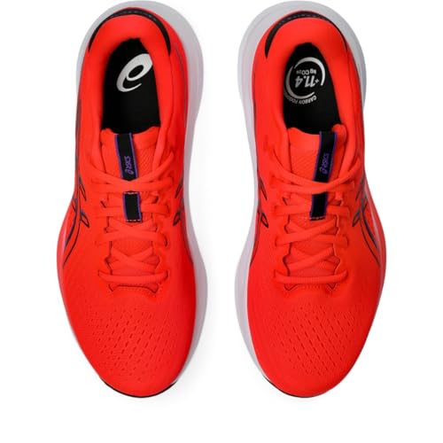 Flash Red/Black