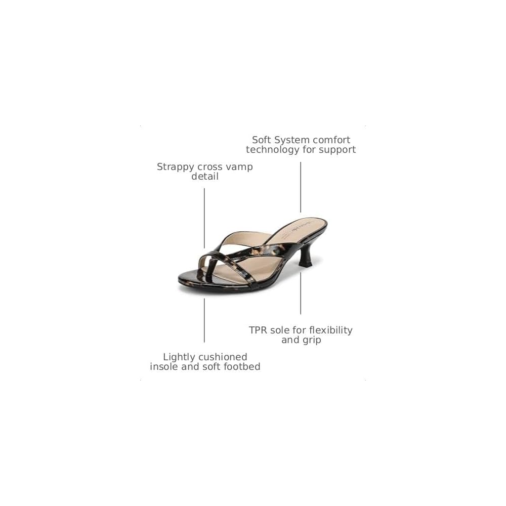 Black Tortoise Patent
