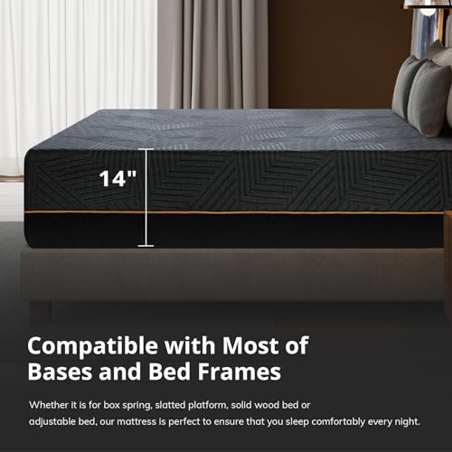 __no_color__