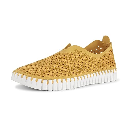 Golden Rod/White