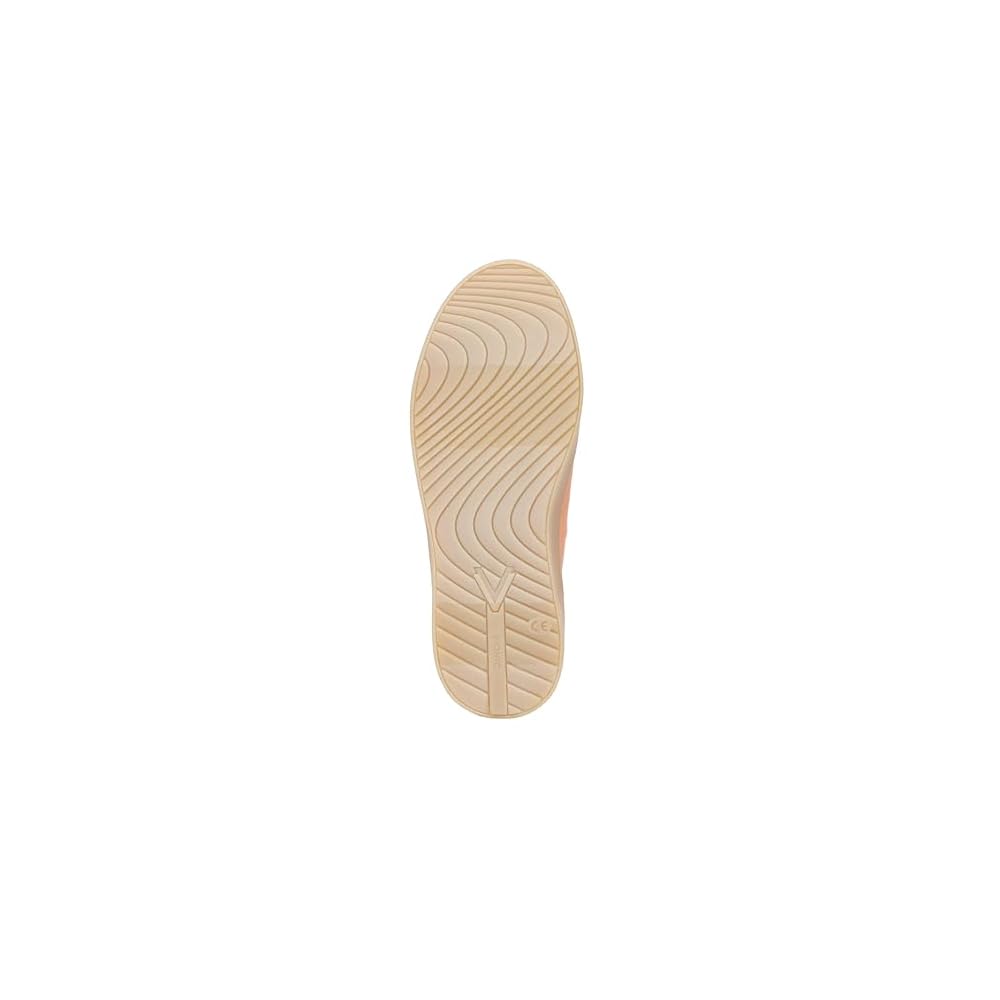 Shell Coral Canvas