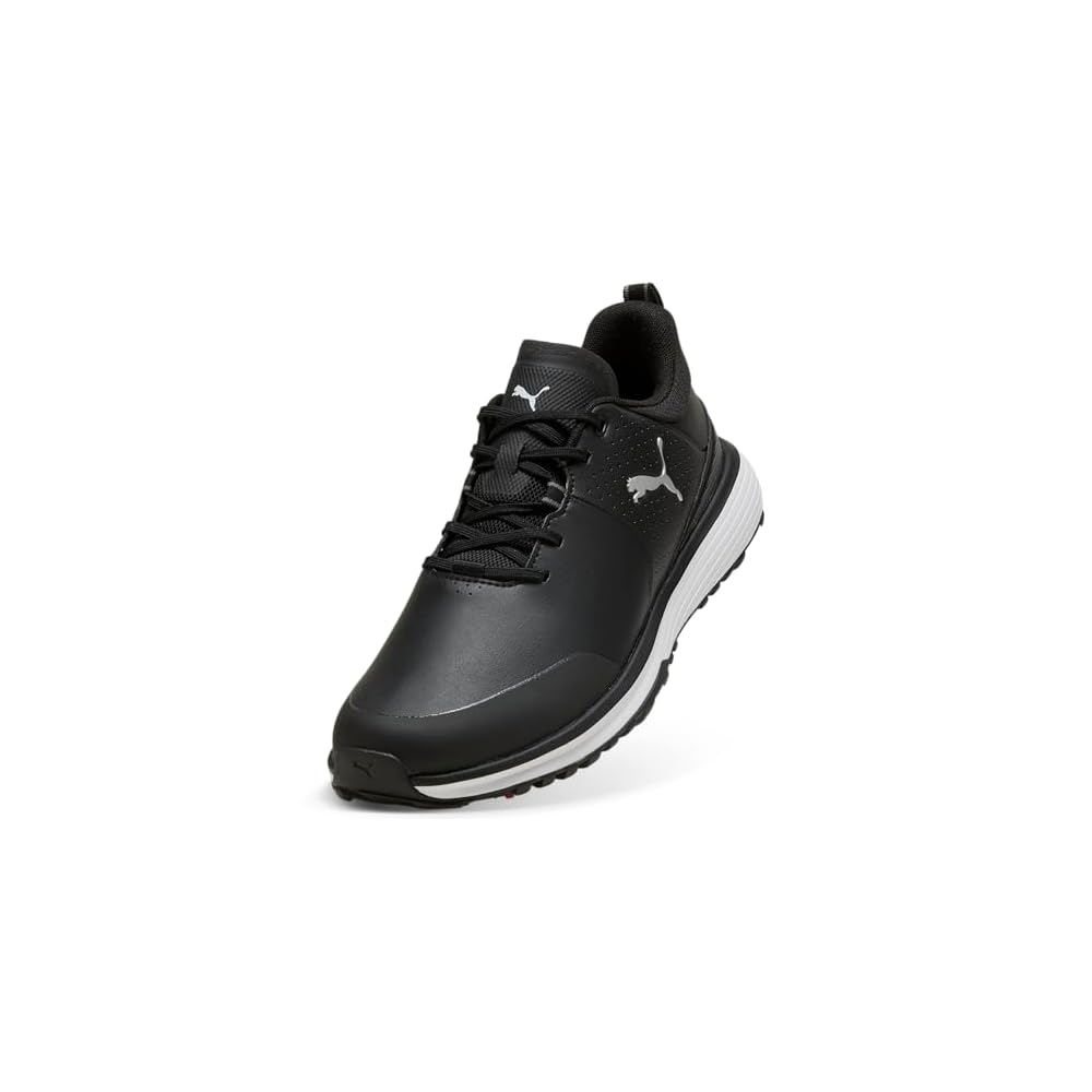 Black/Silver