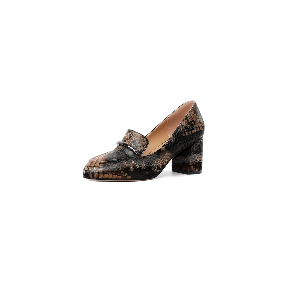 Brown Black Snake