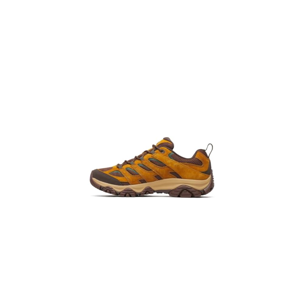 Maple