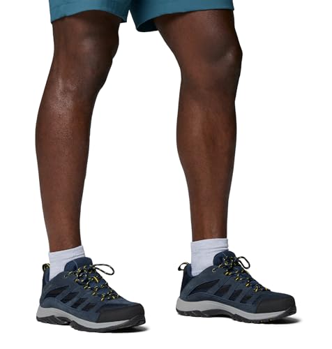 Collegiate Navy/Antique Moss