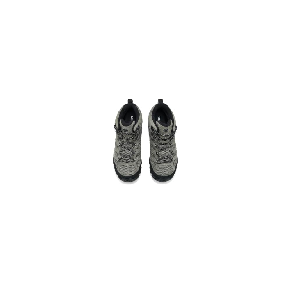 Talus/Black