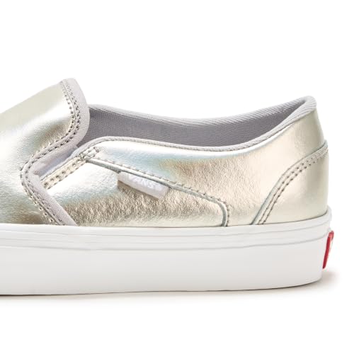 Metallic Light Grey