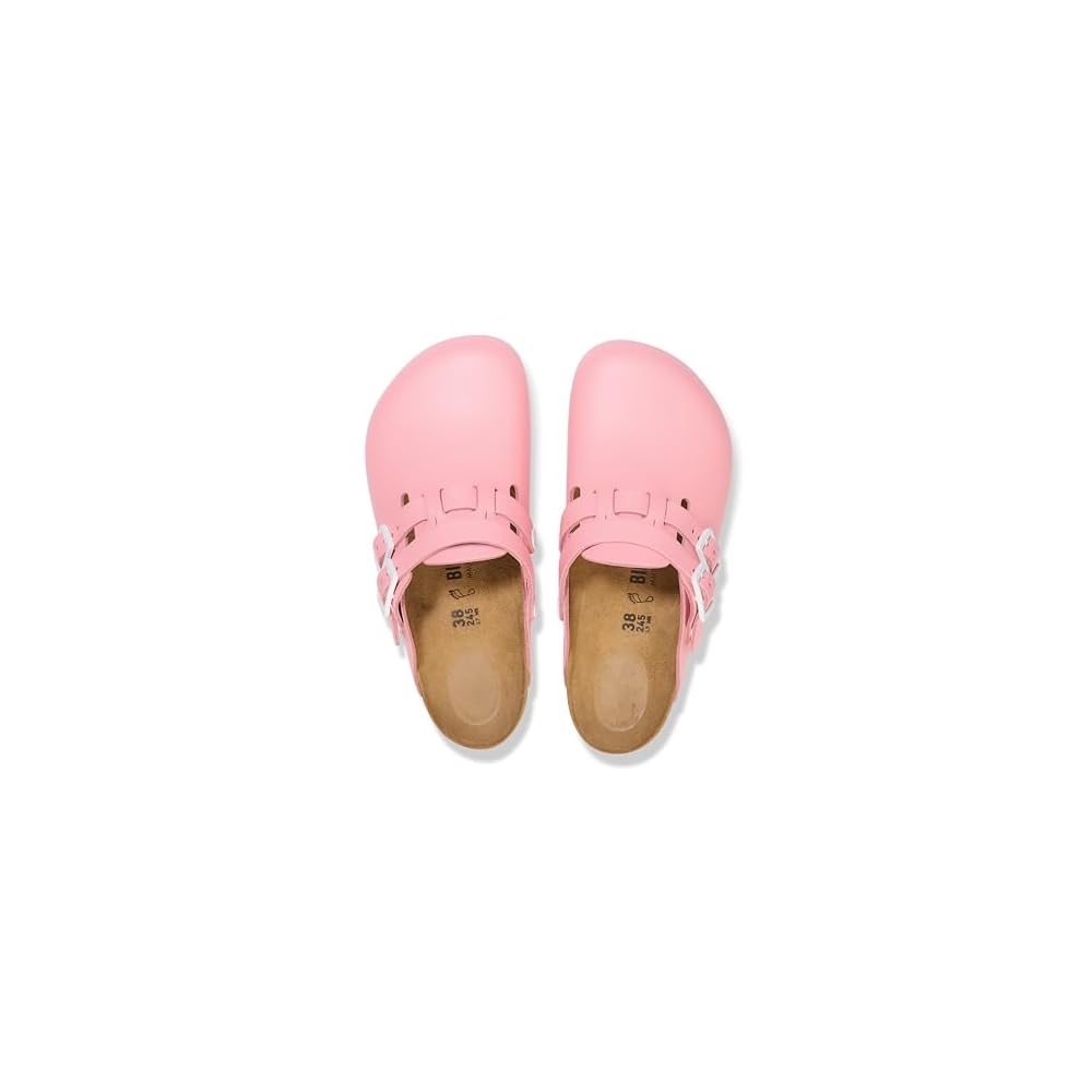 Coral Shell
