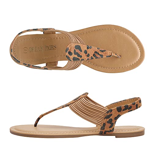 Leopard-n