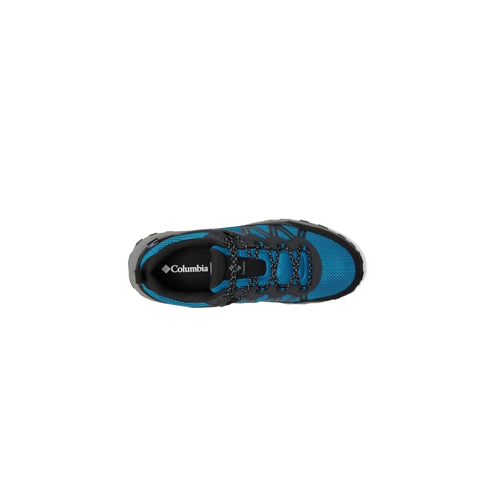 Blue Echo/Black
