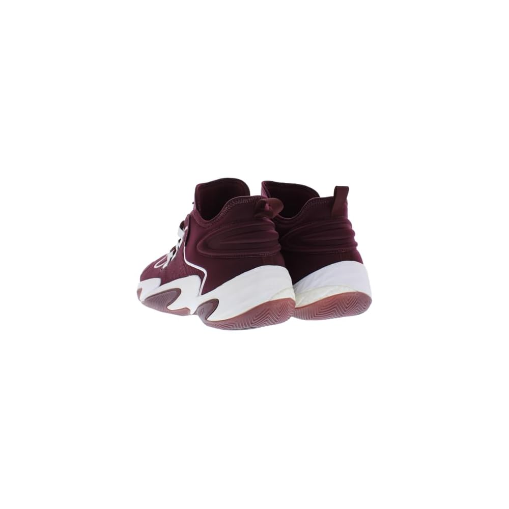 Team Maroon/Footwear White