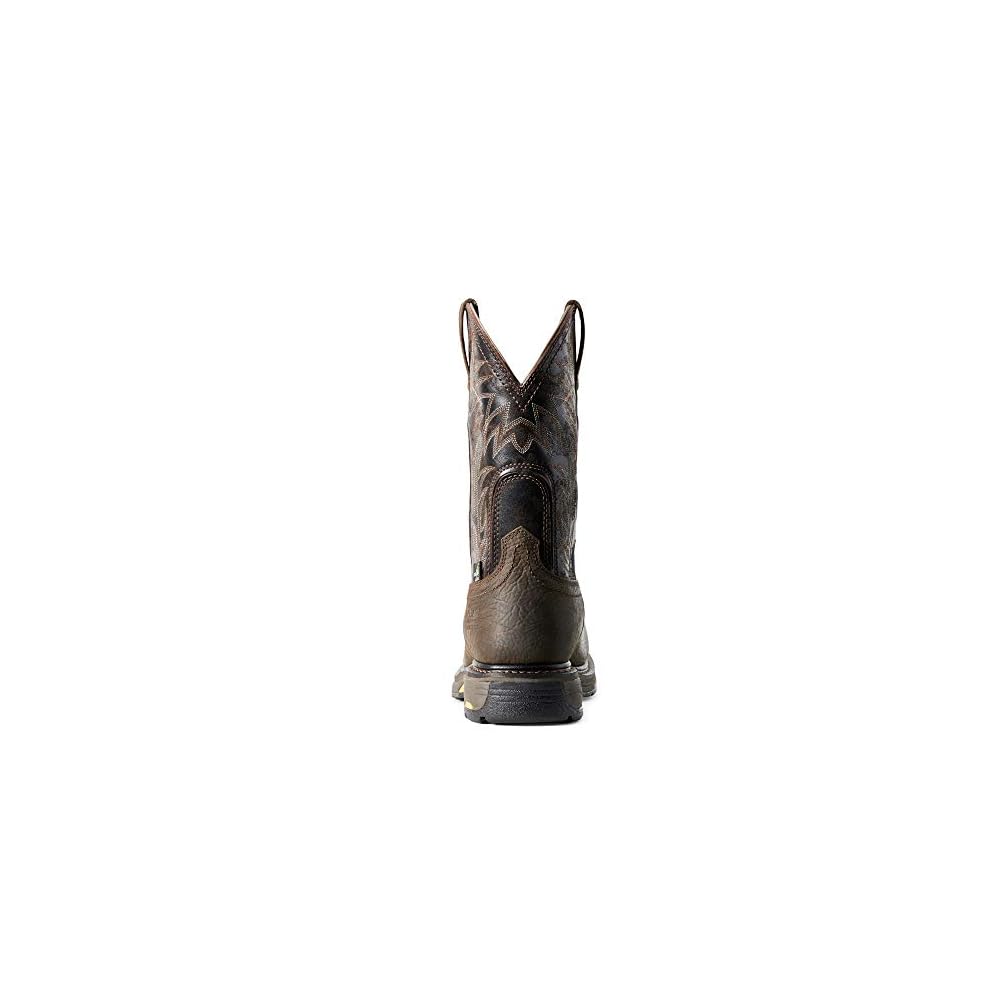 Bruin Brown/Crazy Black