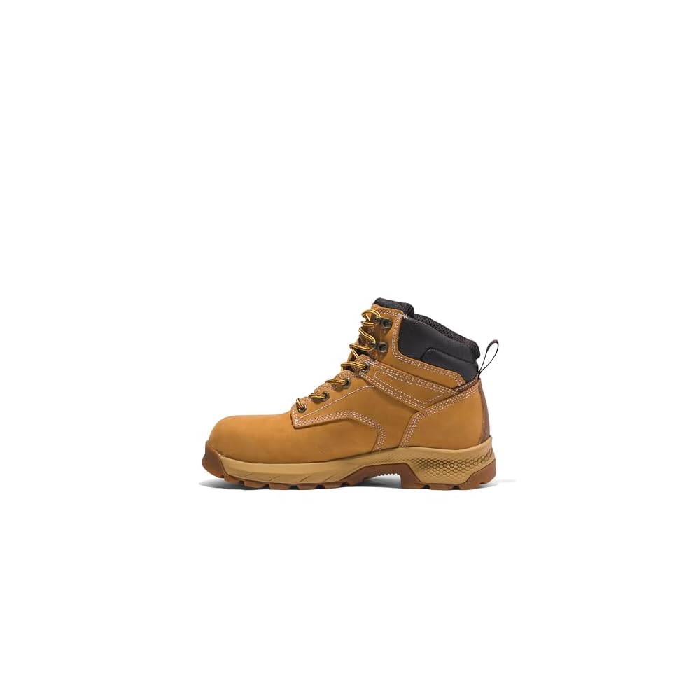 Wheat-2024 New