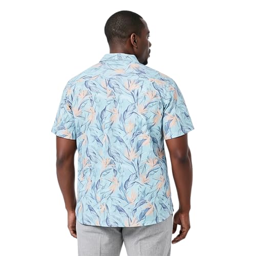 Bachelor Button Tropical