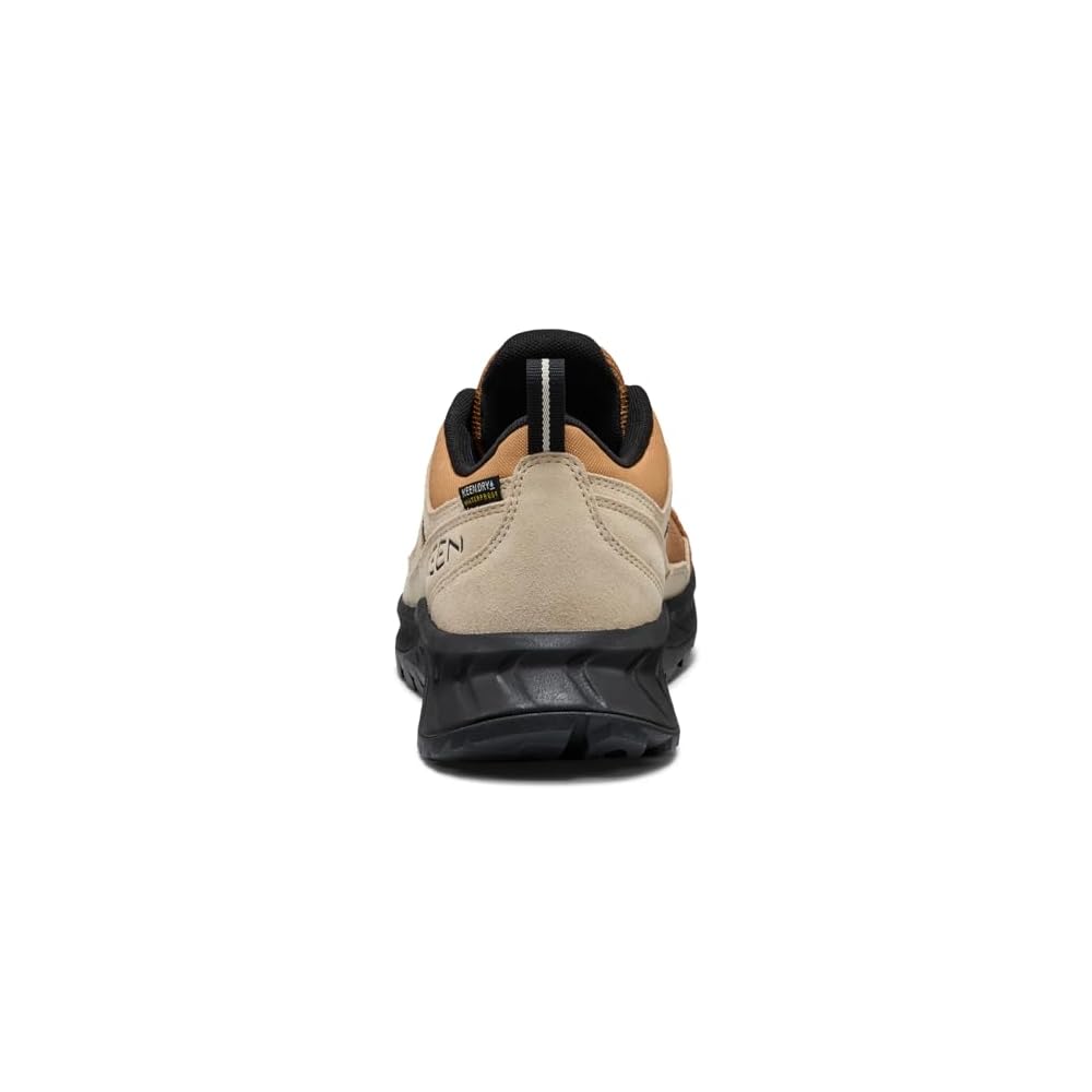 Chipmunk/Safari