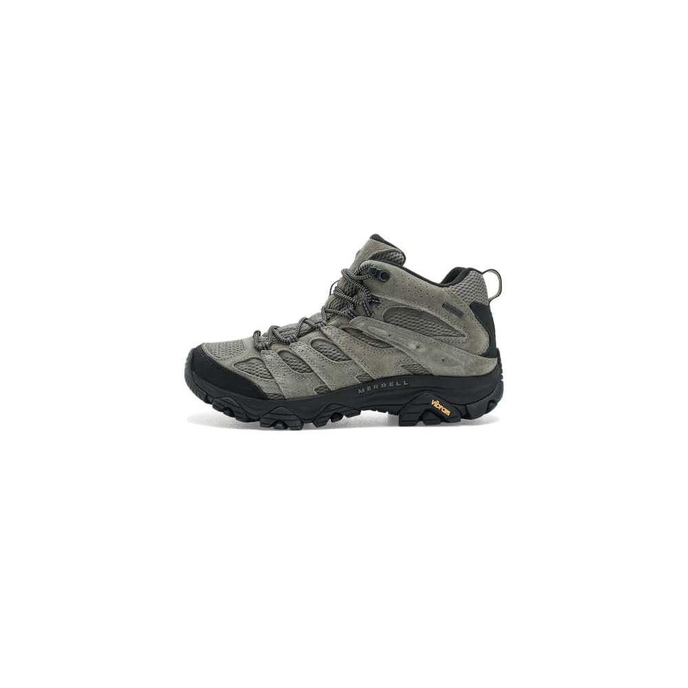 Talus/Black